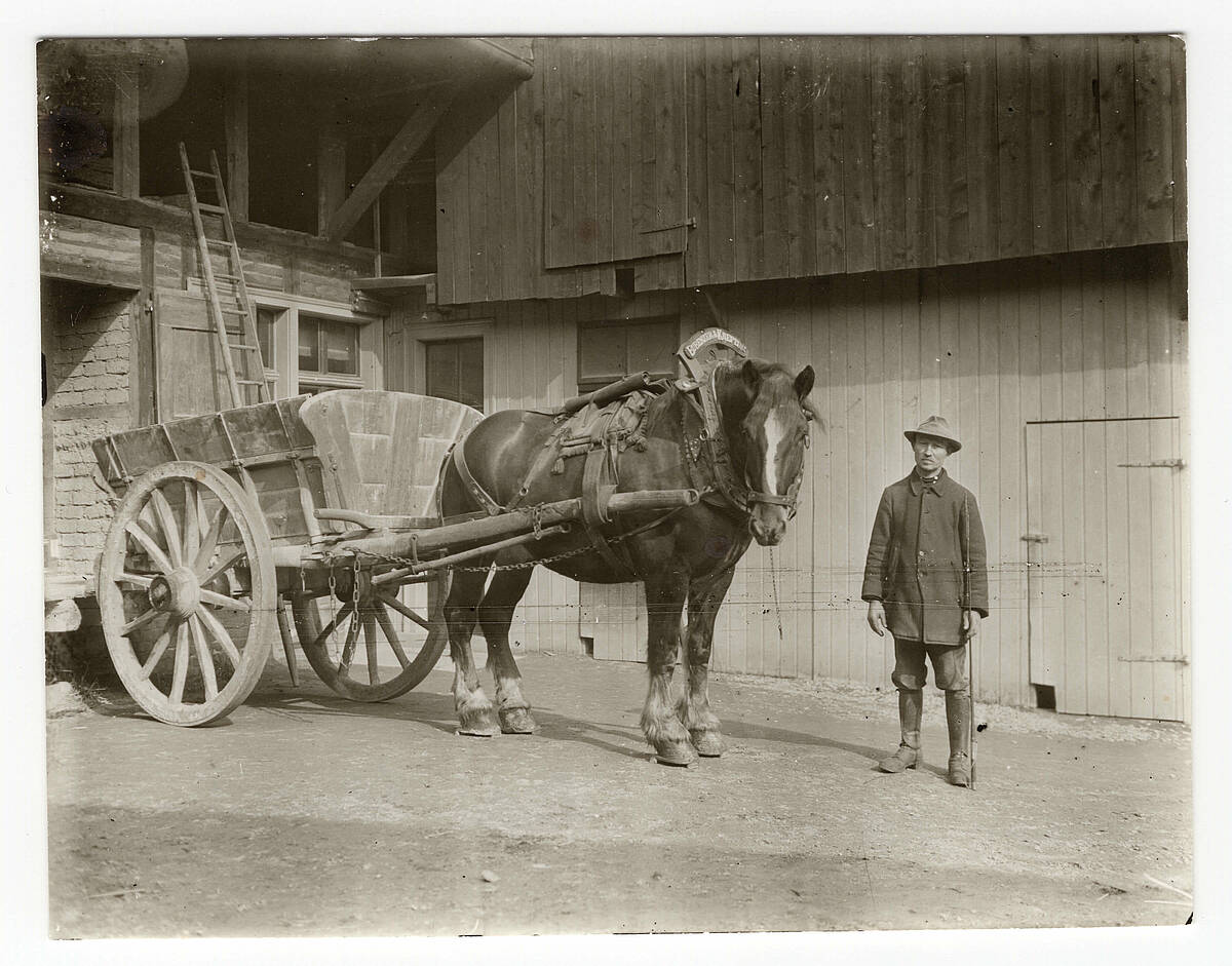 Oberbergischer Fuhrmann, um 1930 – Foto: Sammlung Jürgen Woelke/LVR-Freilichtmuseum Lindlar