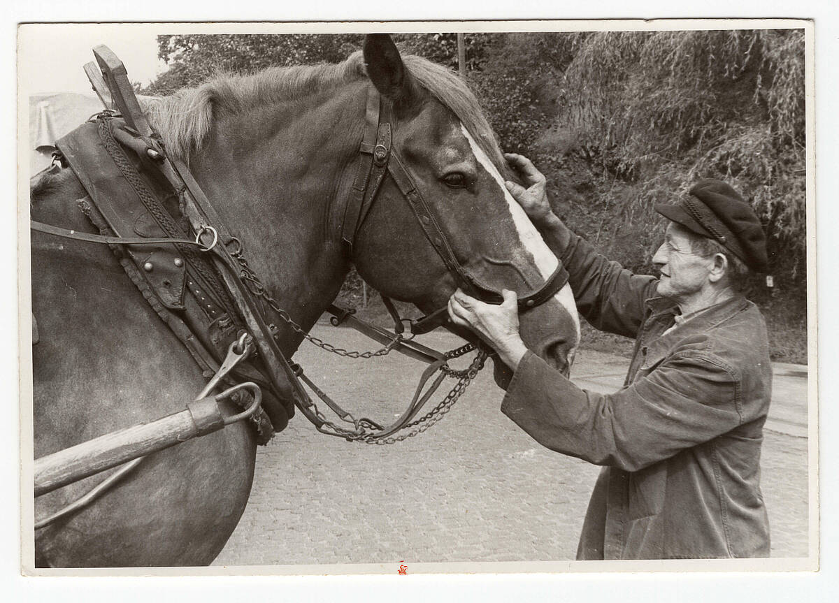 Oberbergischer Fuhrmann, um 1960 – Foto: Sammlung Jürgen Woelke/LVR-Freilichtmuseum Lindlar